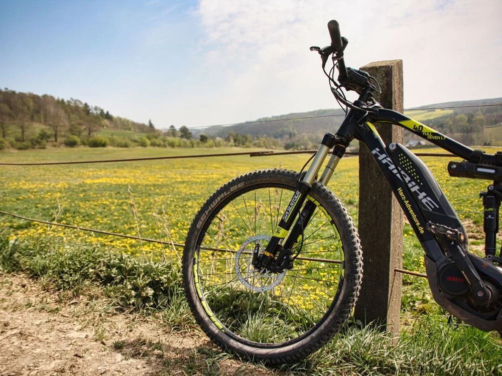 eMTB Tour Burgen und Bisons im Harz