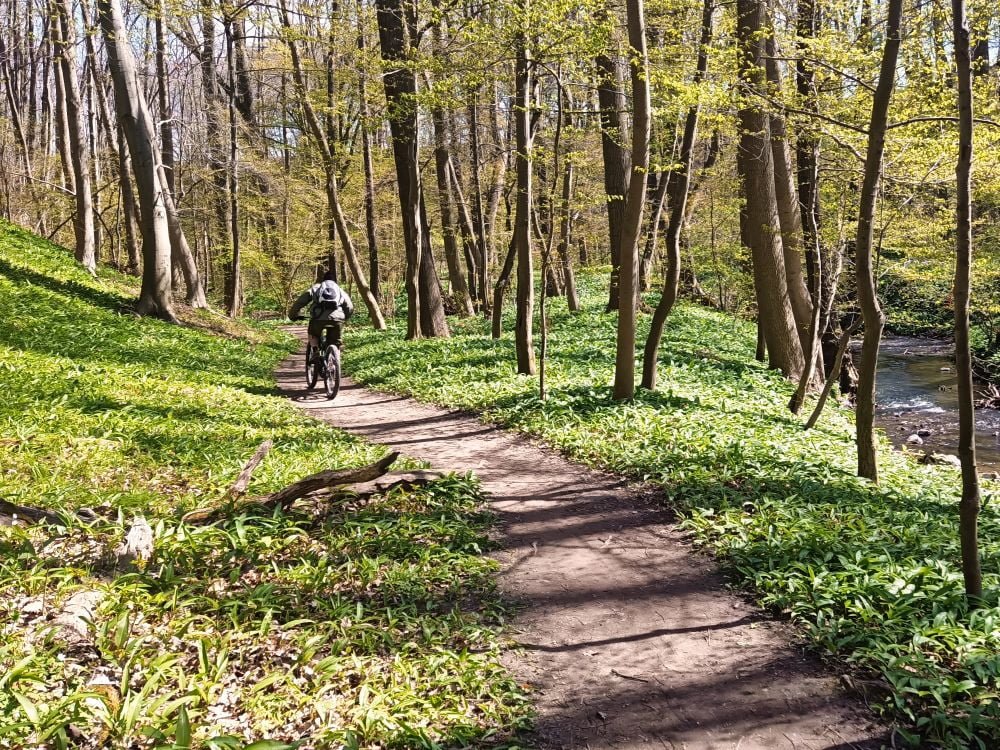 Trail bei Blankenburg