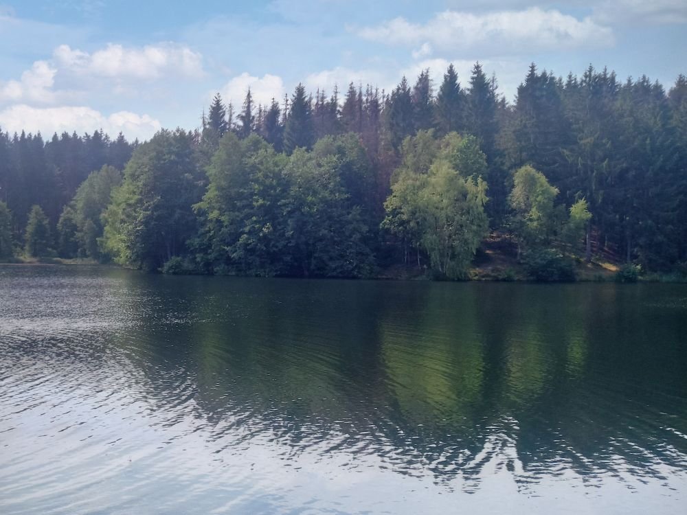Neuer Teich bei Gernrode